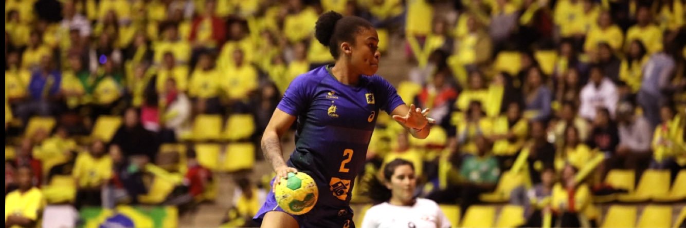 Portal do Handebol banner