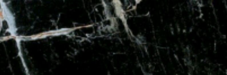 Inma B.Lucas banner