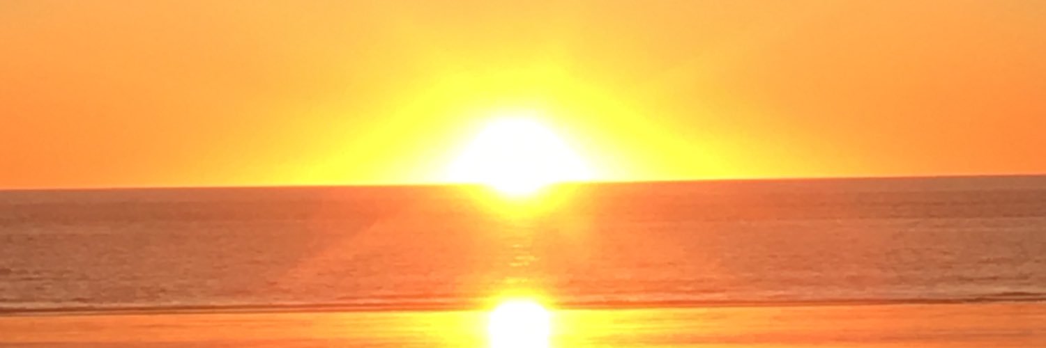 tomcheal's profile banner image