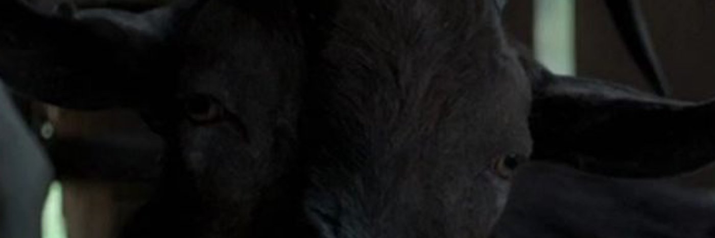 thewraithrisingfilms banner