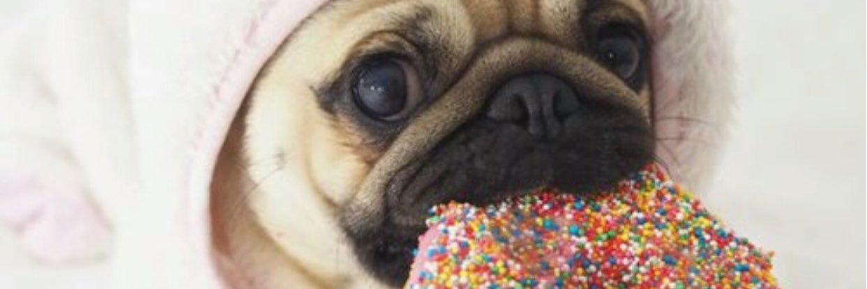 SammyLynneB's profile banner image