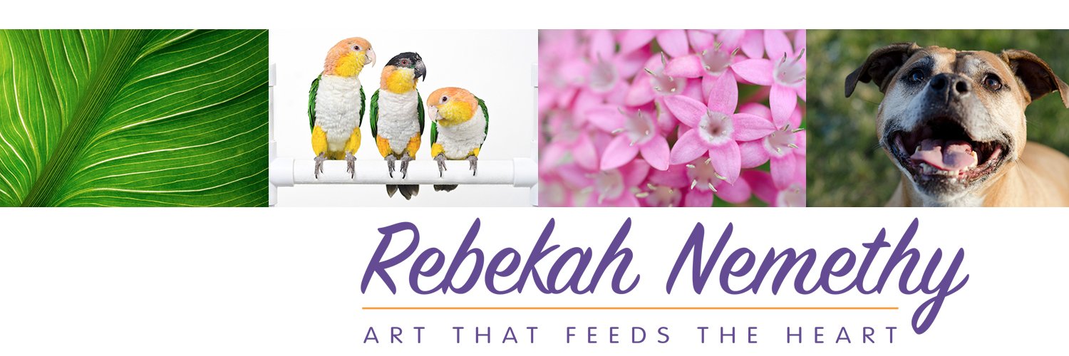 ReflectInPhotos's profile banner image