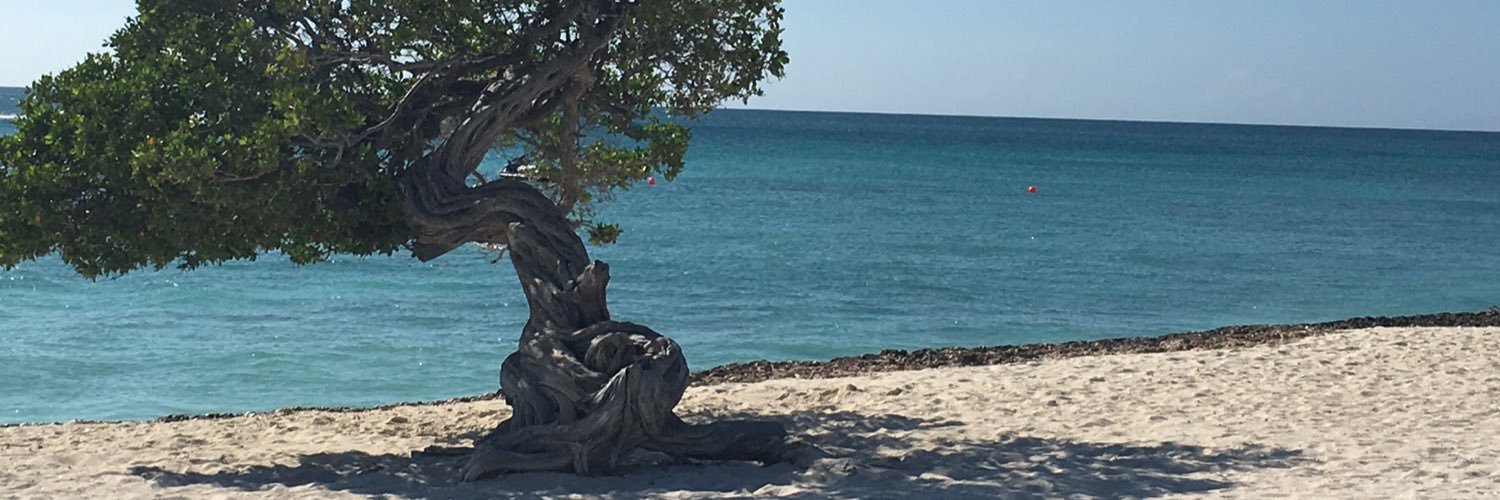 Stefanie Rockwood banner