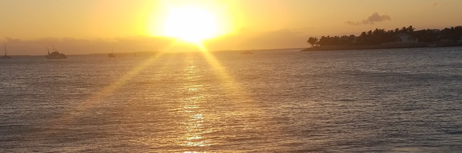 dsriter's profile banner image
