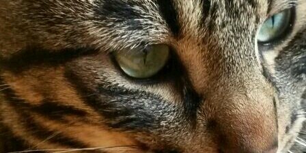 mj_chus's profile banner image