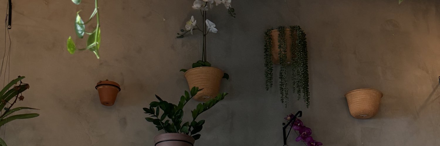 ale🍉 banner