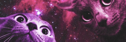 mikkail's profile banner image