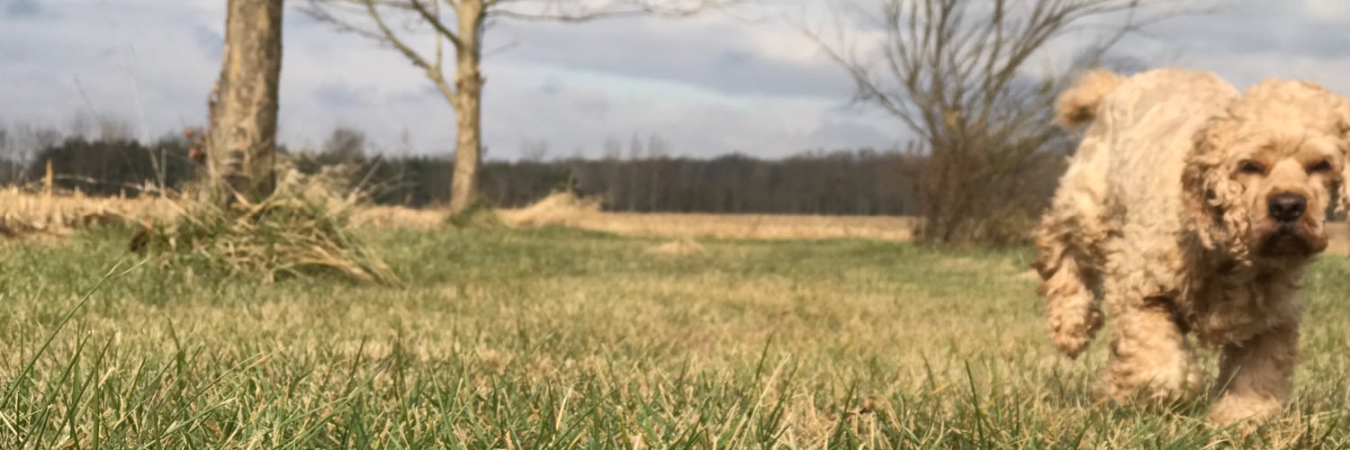 IronBonesX's profile banner image