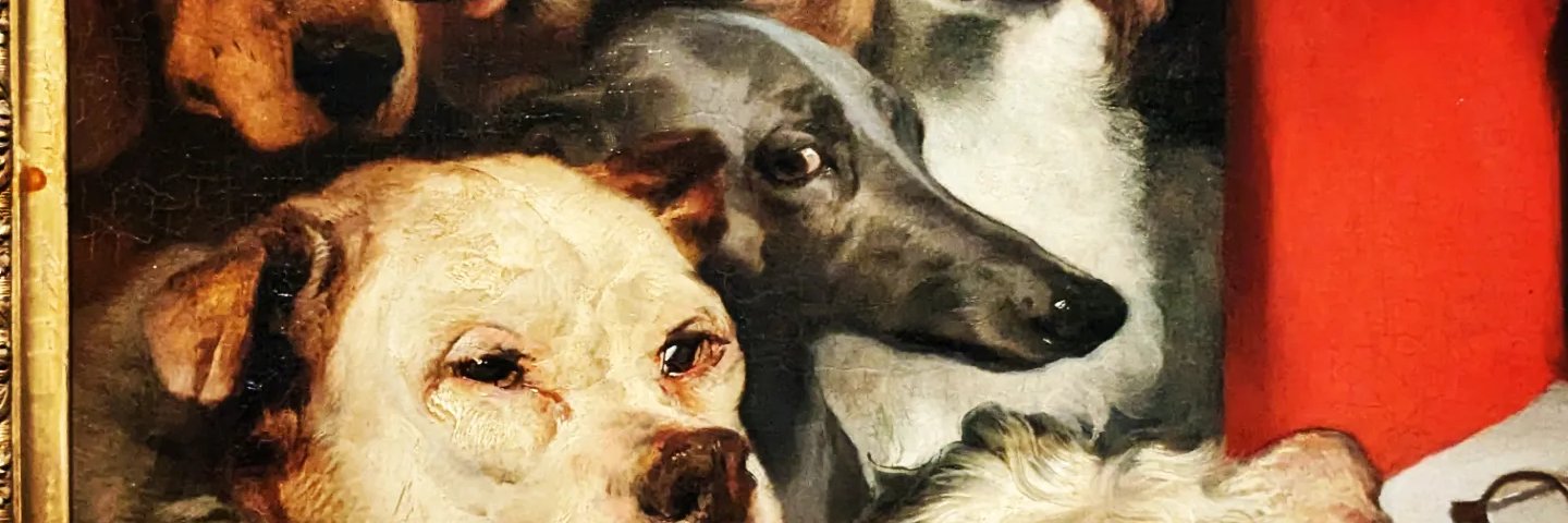 JVanHaaren's profile banner image