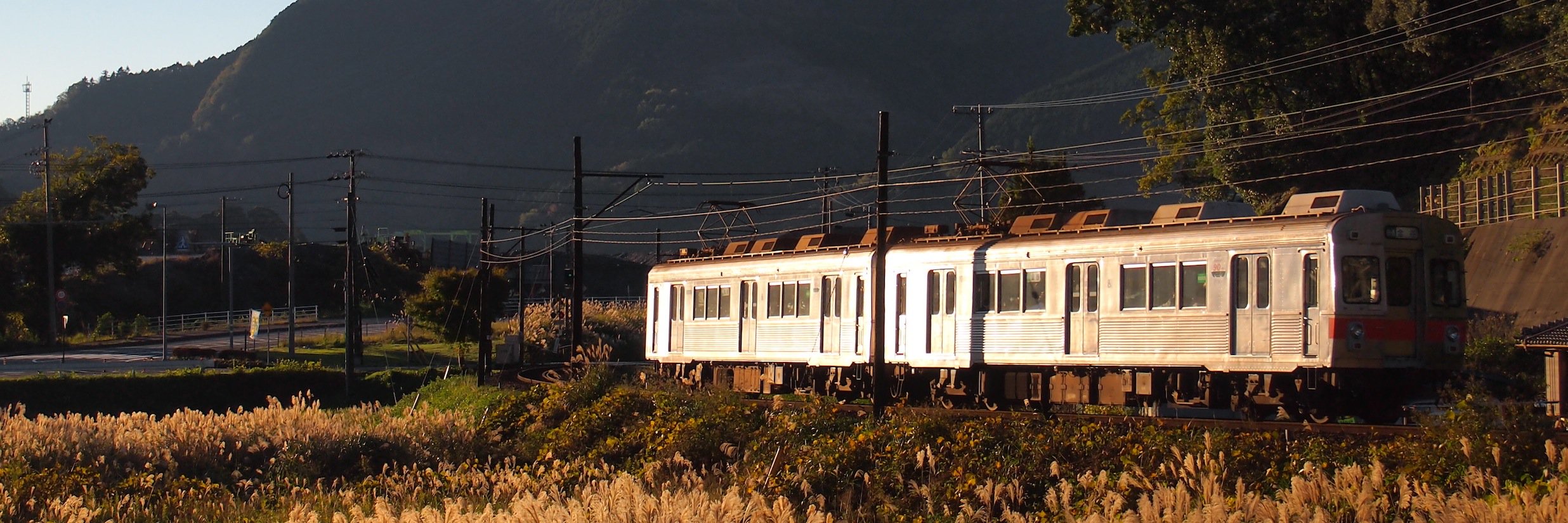 trta01's profile banner image