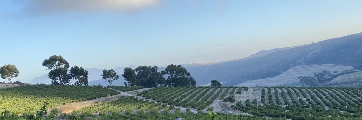 winechev's profile banner image