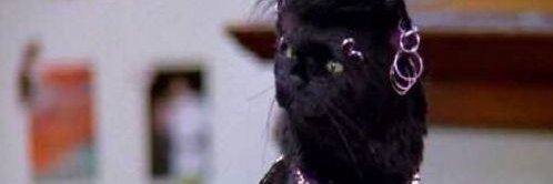 hiddenlakess's profile banner image