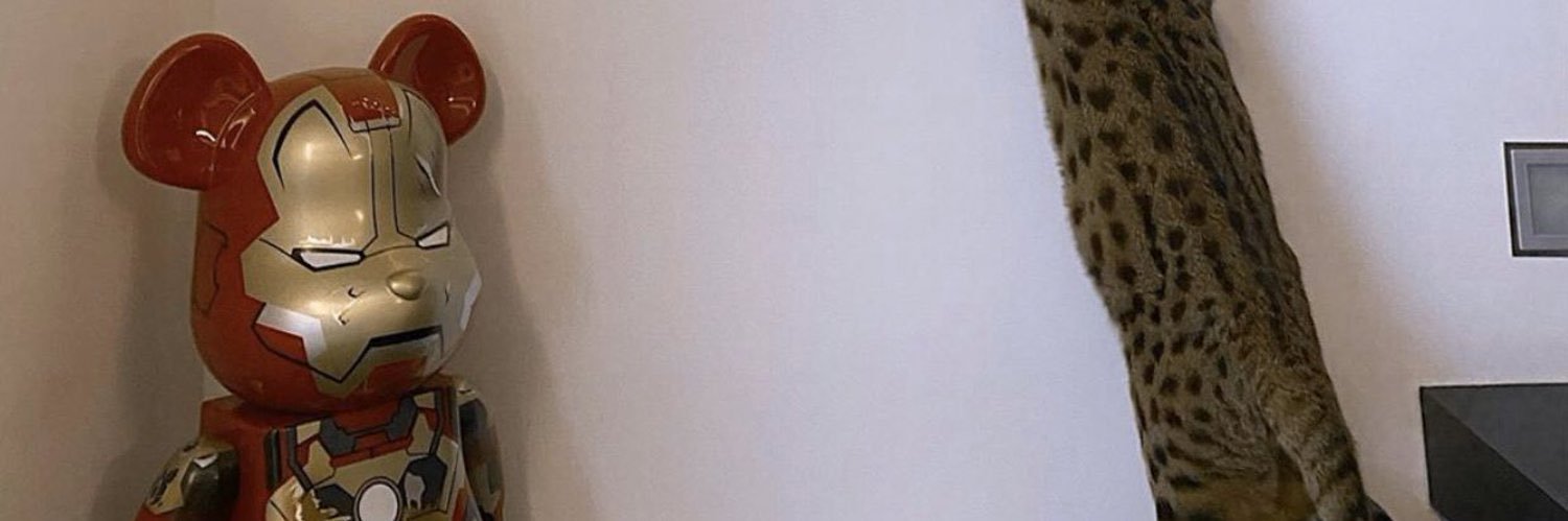 takeyu0125's profile banner image