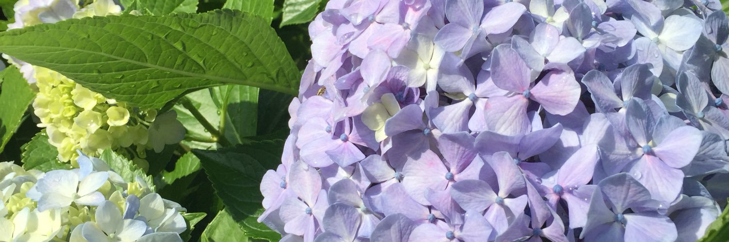 nagisa_425's profile banner image