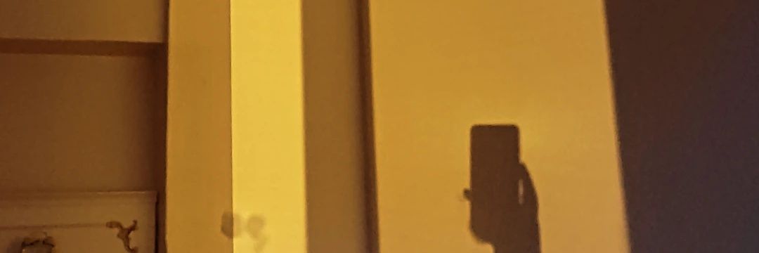 _shmshl's profile banner image