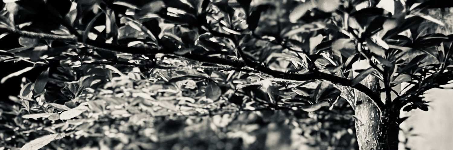 smit_c's profile banner image