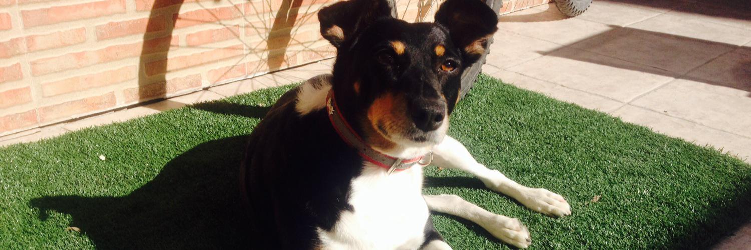 mayteetee's profile banner image