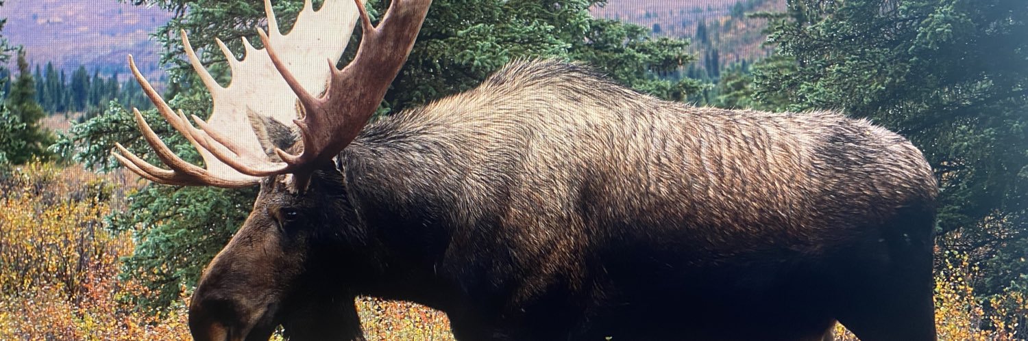 DKawuma4ug's profile banner image
