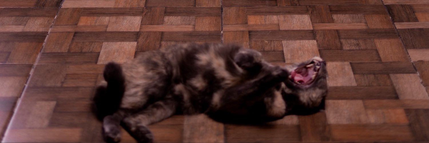 pangelmich's profile banner image