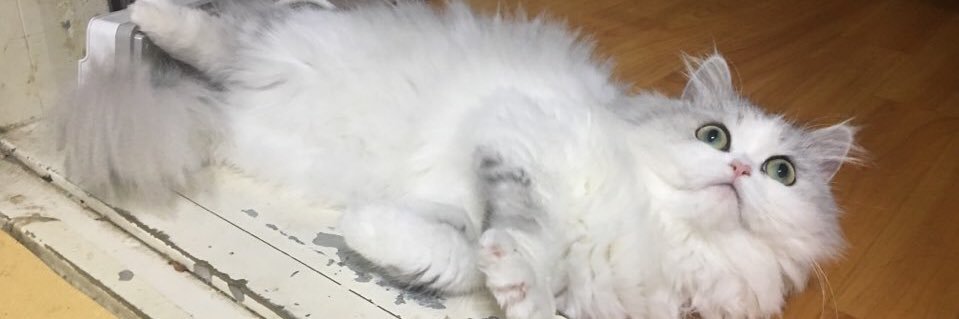 byehyj's profile banner image