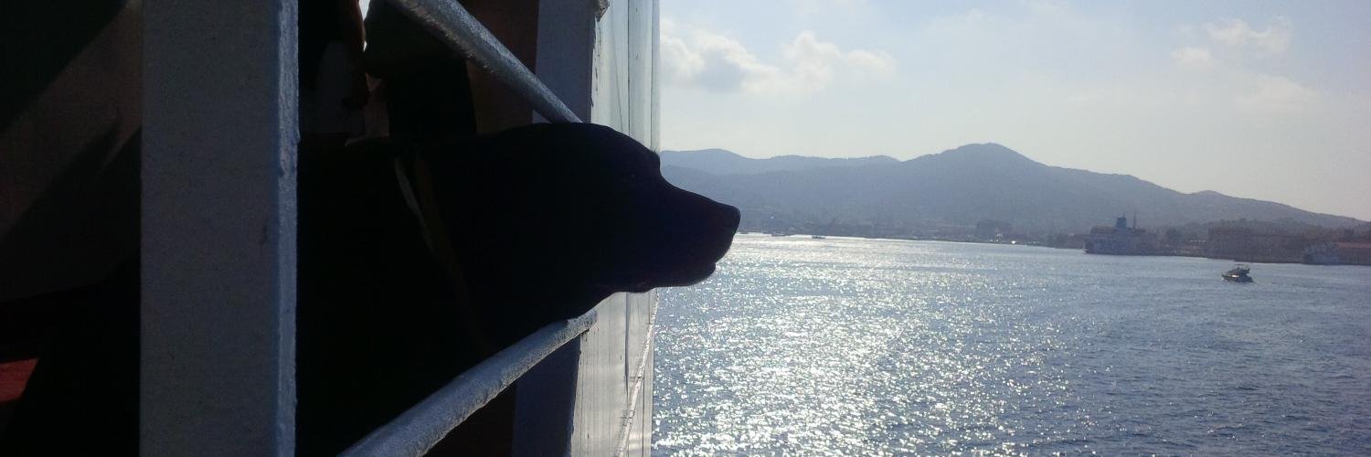 MattPatresi's profile banner image