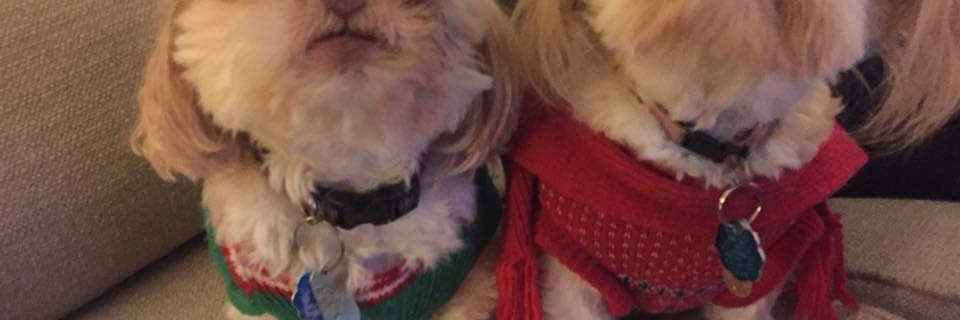 BarbFoos's profile banner image