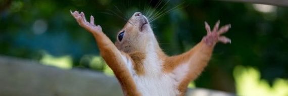 maricacacaca's profile banner image