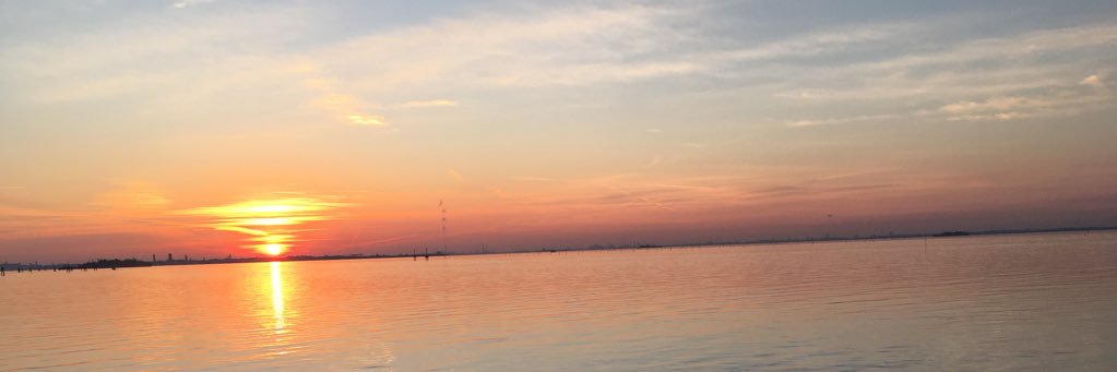 shashankgupta49's profile banner image