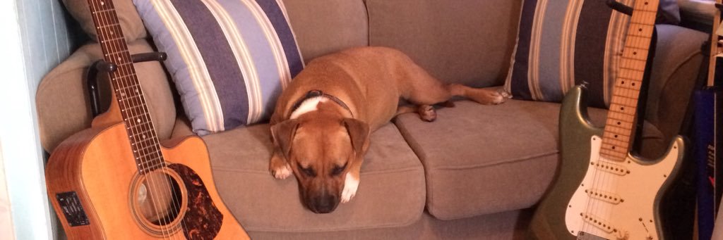cuthbertsoni's profile banner image