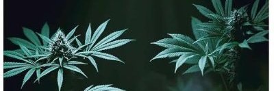 DreBah254's profile banner image