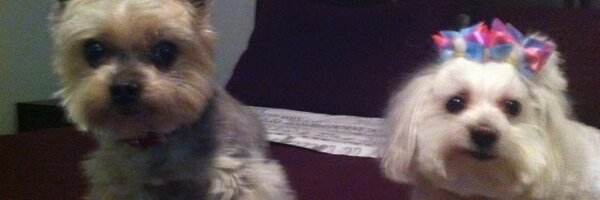 randyteeter Profile Banner