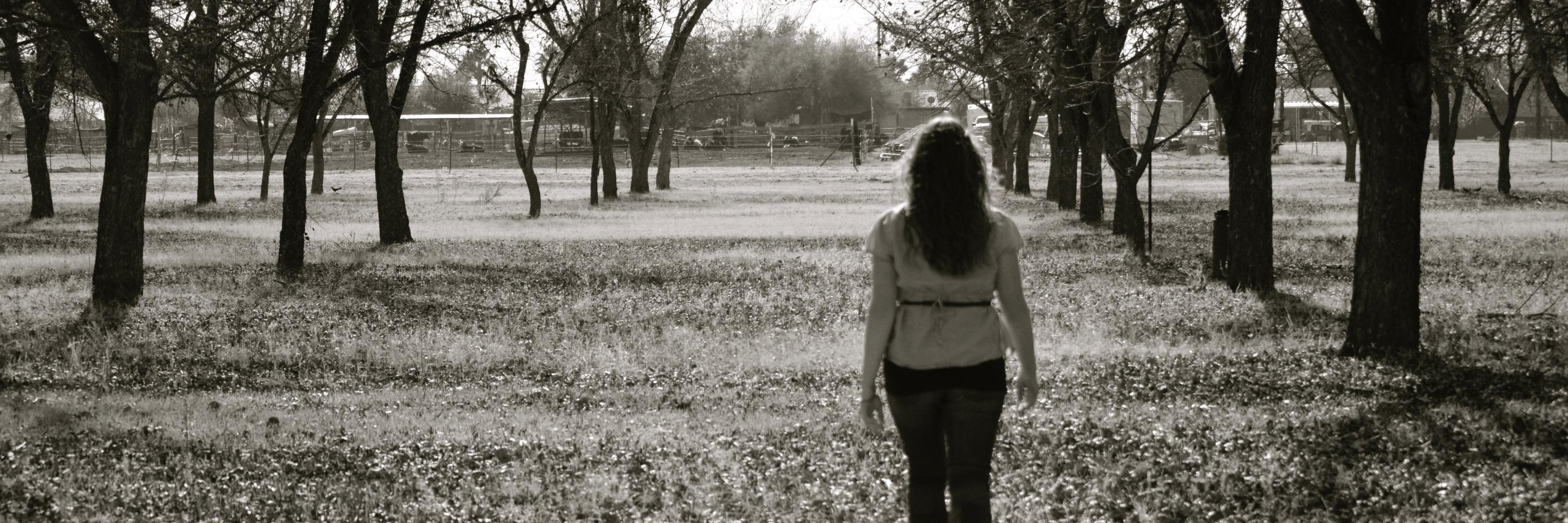 dnr45's profile banner image