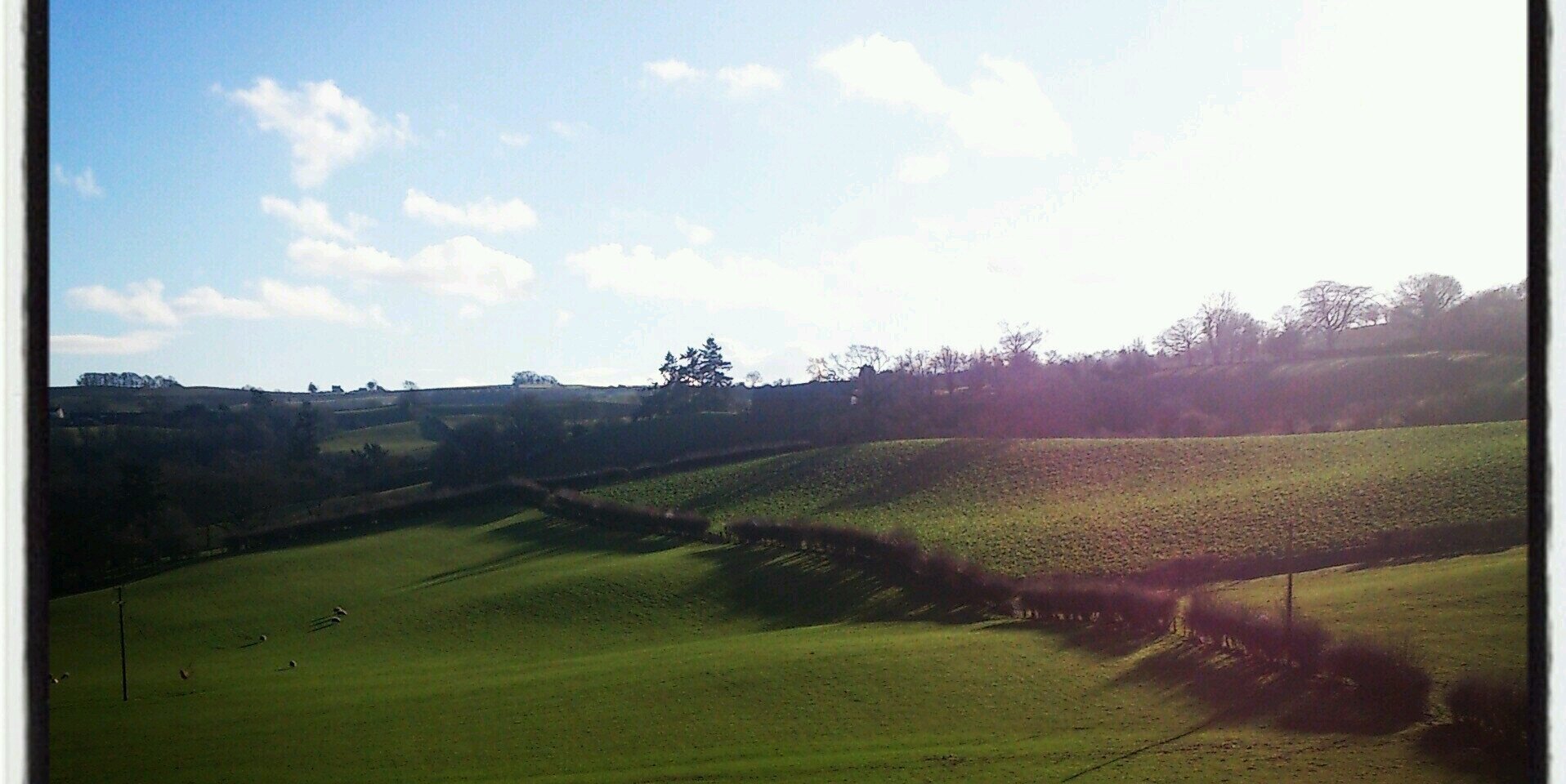 gwenhaf97's profile banner image