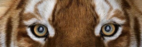 Adry_Crack's profile banner image