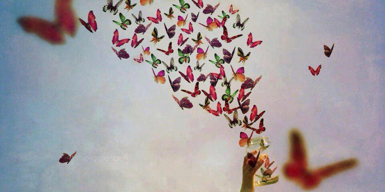 zainab_abd's profile banner image