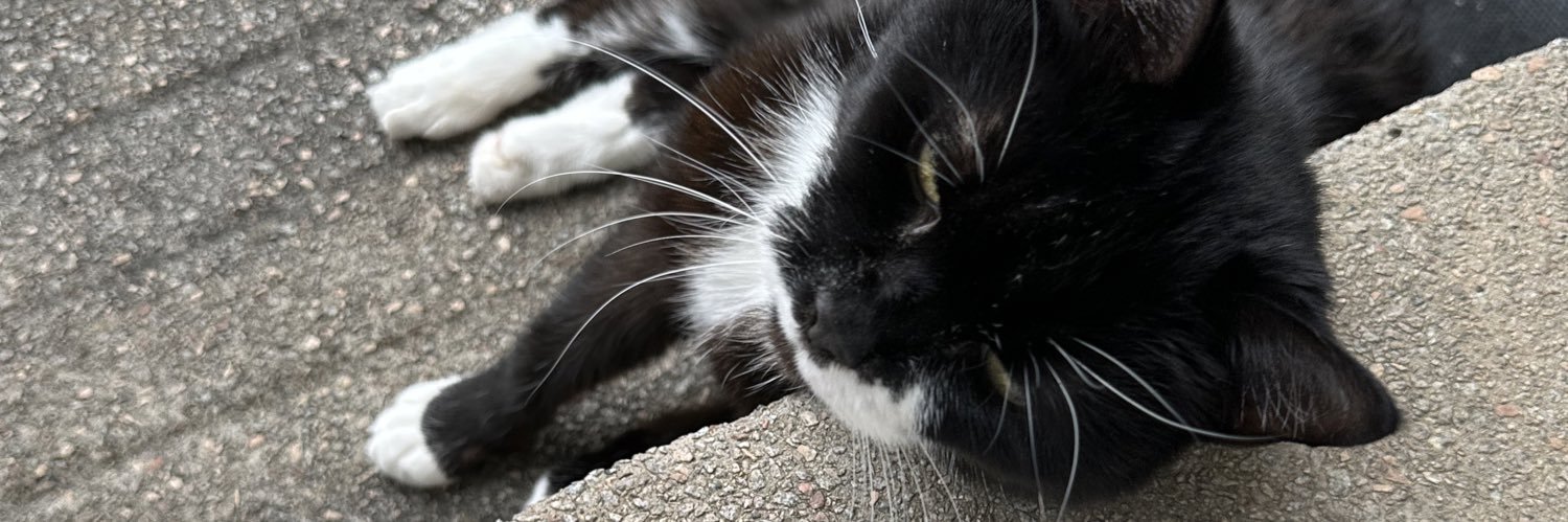 Miss Tracy Hurst banner