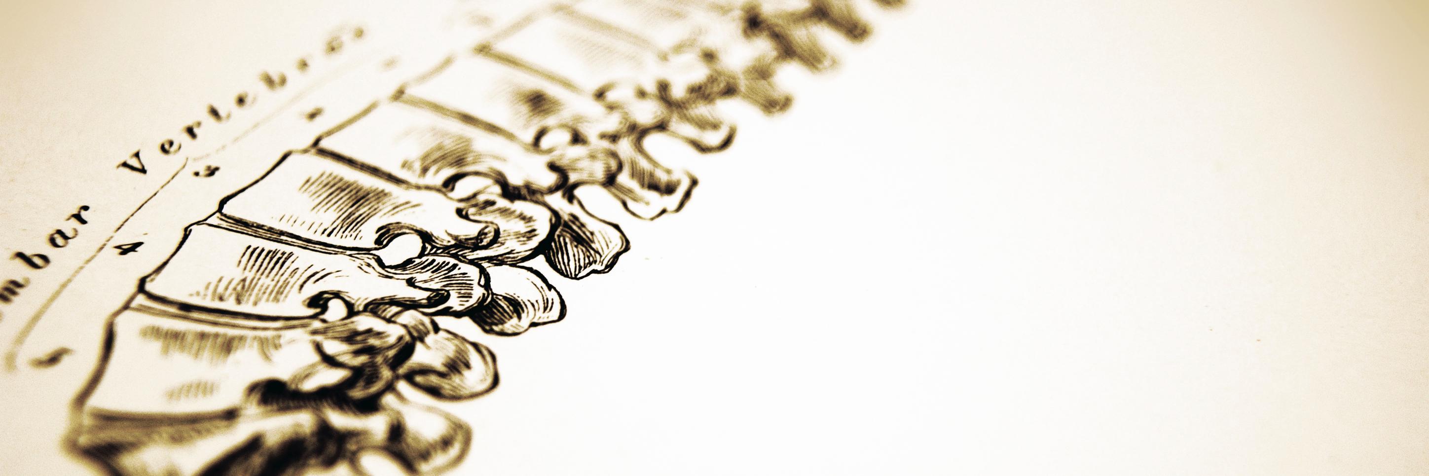 EastLoop_Chiro's profile banner image