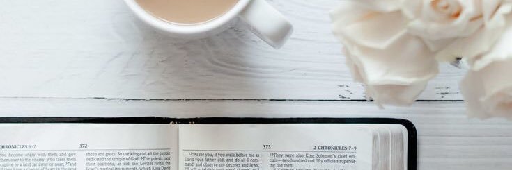 Emily Rankin Estes banner