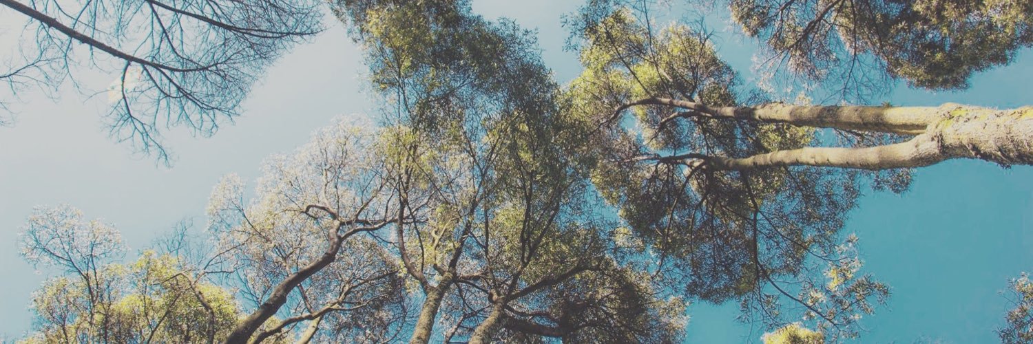 diegovergara15's profile banner image