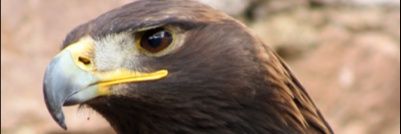 jlslugo's profile banner image