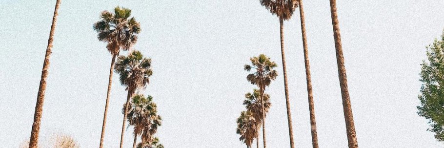katedurocher11's profile banner image