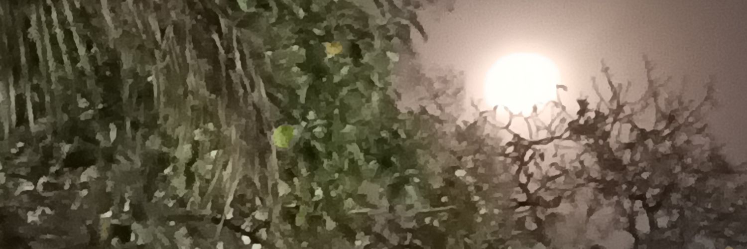 KbSundarmyth's profile banner image