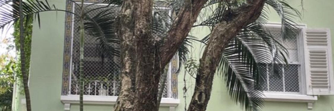 castrofernandam's profile banner image
