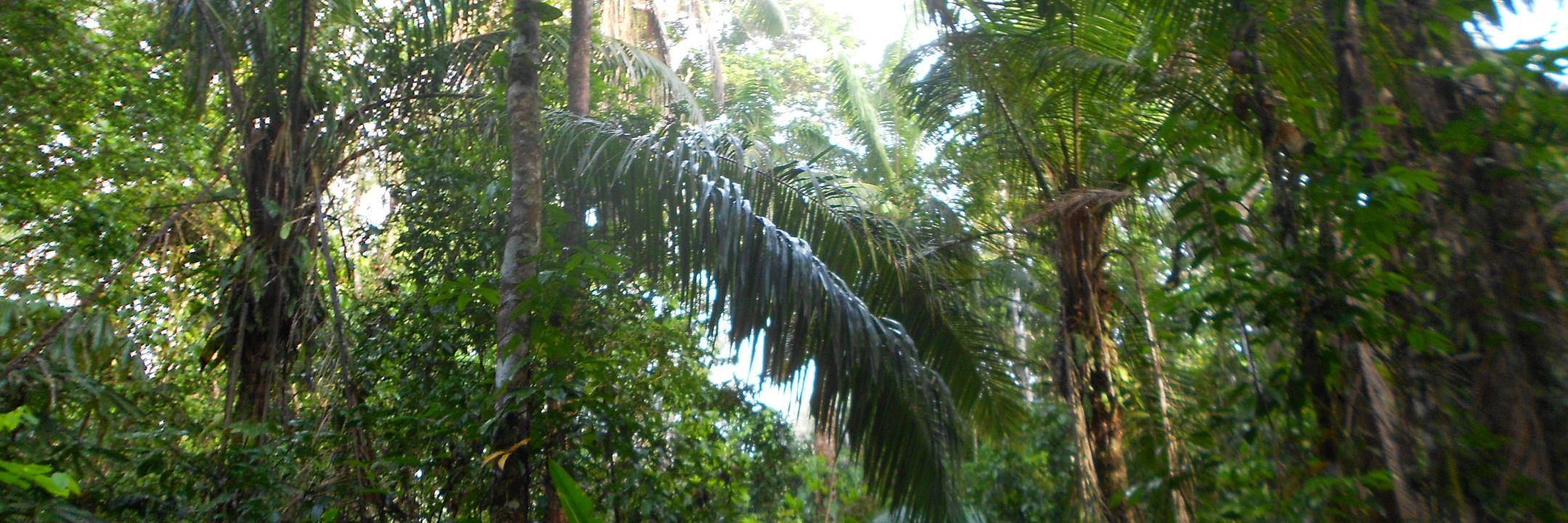 Hannah_West_Bio's profile banner image