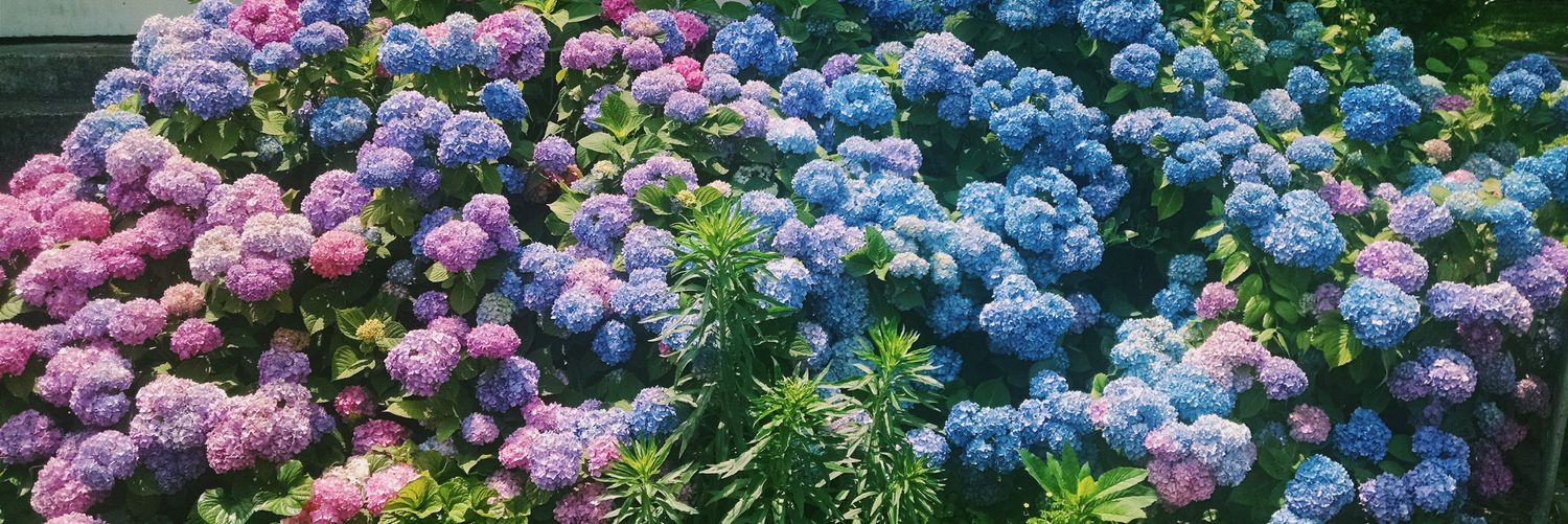 heatherrainey's profile banner image