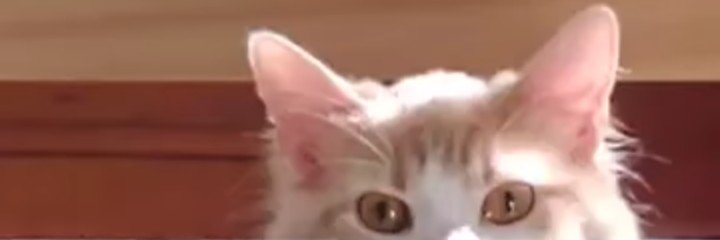 GabrielEda1971's profile banner image
