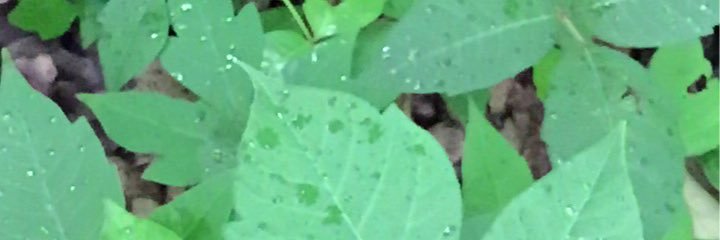 MikeAndy128's profile banner image