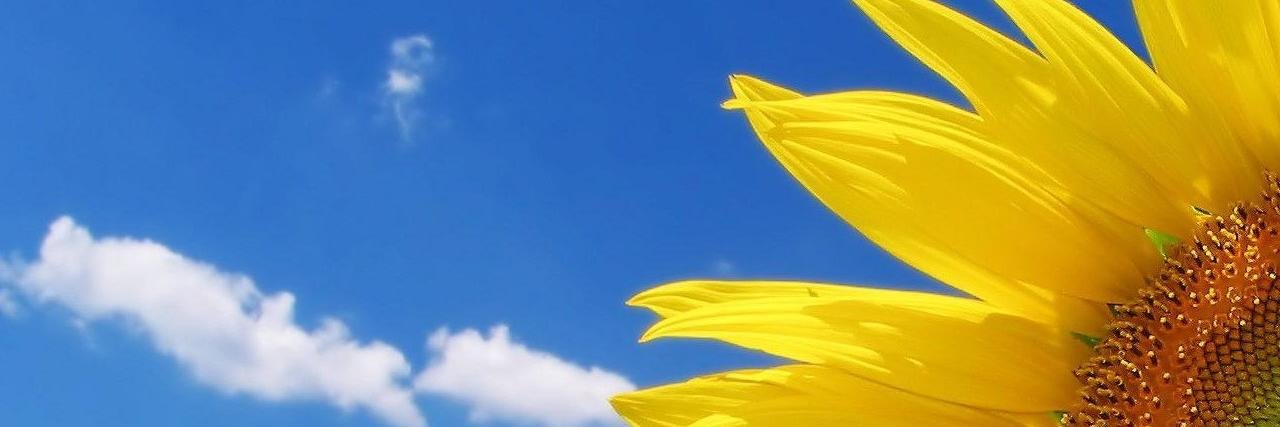 Dekonom's profile banner image