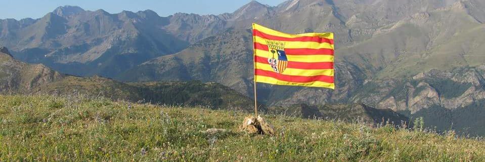 TORRERICO's profile banner image