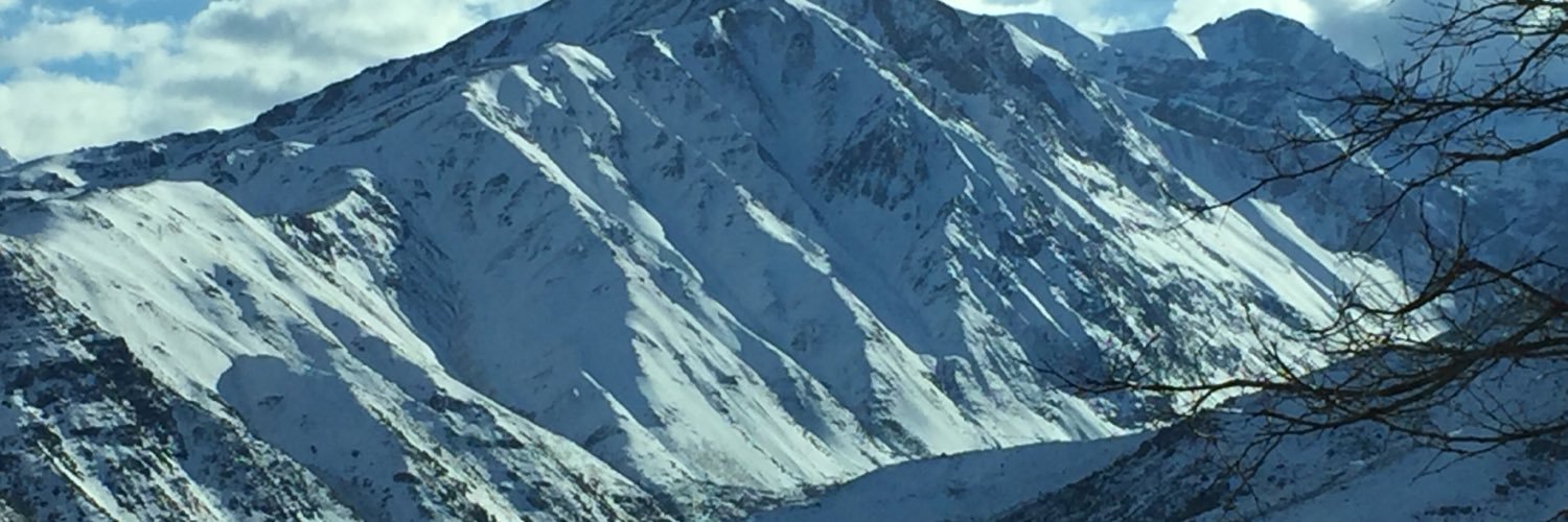 dricapsbranco's profile banner image
